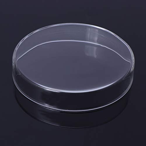 Shrimp Feeder Glass Feeding Dish Aquarium Fish For Tank Reptiles Round Clear Food Bowl 6cm-9.8cm Transparent Modern Floating Design Fish Feeder Feeding Dish