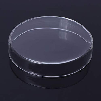 Shrimp Feeder Glass Feeding Dish Aquarium Fish For Tank Reptiles Round Clear Food Bowl 6cm-9.8cm Transparent Modern Floating Design Fish Feeder Feeding Dish