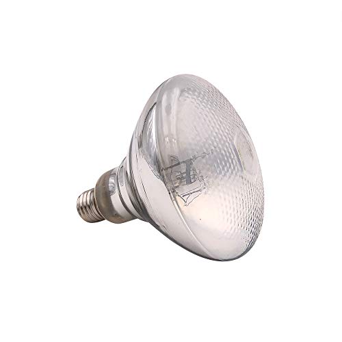 Mega-Ray Mercury Vapor Bulb (100, Watts)