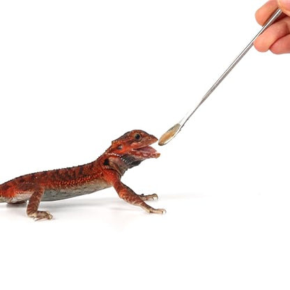 2Pcs Reptile Powder Fruit Mixing Stirring Food Feeding Spoon fit Crested Gecko Gargoyle Bearded Dragon - size: 0.5 Ounce (Pack of 2)