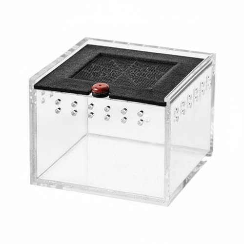 Acrylic Habitat Reptile Terrarium Breeding Box Animal Enclosure Feeding Box Transparent Material with Ventilation Holes Suitable for Hobbyists Home Display, Transparent - style: Transparent