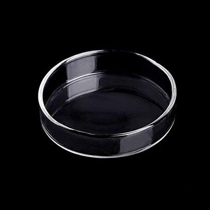 WEAVERBIRD 80mm Aquarium Shrimp Feeder Dish Glass Fish Tank Feeding Bowls Round Clear Dishes Tray - size: 80MM