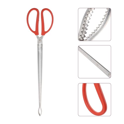 ULTECHNOVO Stainless Steel Snake Grabber Tool for Yard, 20.50" Curved Serrated Long Handle Eel Tongs, Heavy Duty Fish Loach Clamp & Chestnut Picker for Outdoor Camping Gardening