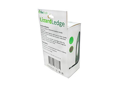 The Bio Dude Magnetic Lizard Ledge Green 0.5 oz - Feeding Ledge for Geckos and Lizards