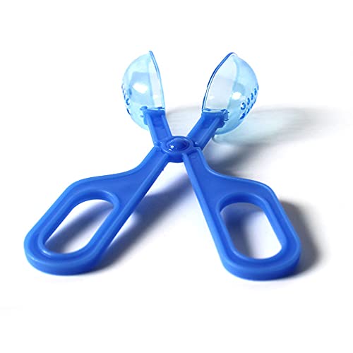 Reptile Feeding Tool Scissors Handle Feeder Tools Bug Feeding Clamp Cricket Tongs for Aquariums Reptiles Snakes Gecko Reptile Cleaning and Feeding
