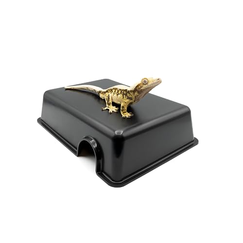 Pangea Reptile Hide Box (C- Medium), Black - size: C- Medium