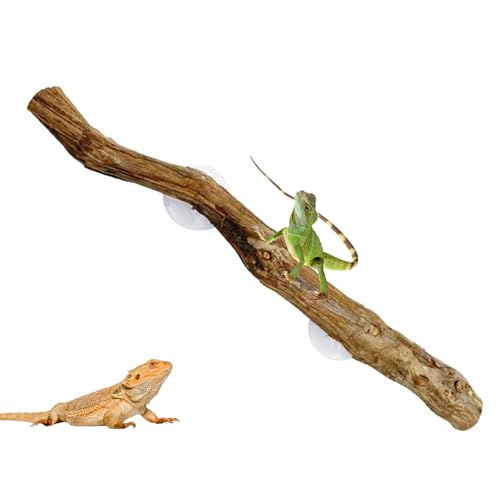 Reptile Climbing Stick – Flexible Snake Climbing Branch, Natural Tank Decor Vine | Terrarium Setup Branch Decoration, Habitat Enrichment for Tree Frogs, Lizards, Geckos, Chameleons, Iguanas