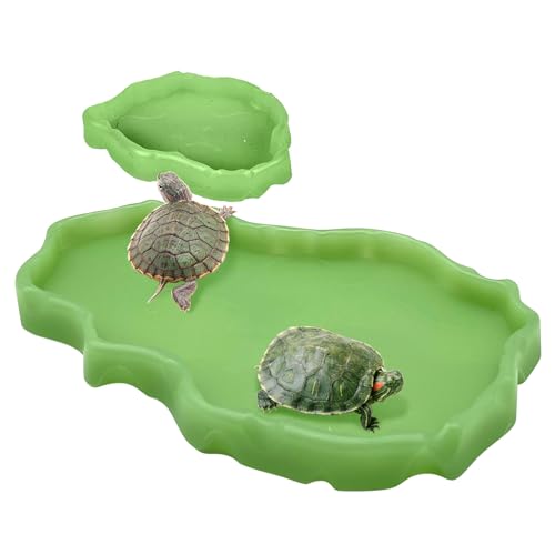 Tfwadmx Reptile Food and Water Bowl Set Luminous Bearded Dragon Dishes Tortoise Feeder Lizard Habitat Large and Small Amphibian Feeding Plates Terrarium DéCor for Turtle Gecko Snake Tegu Iguana 2 Pcs - color: Luminous