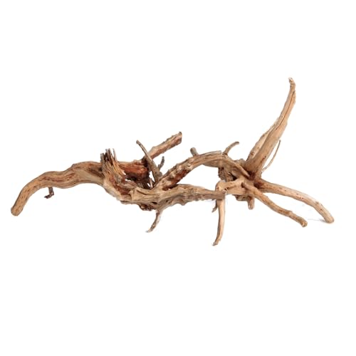 emours Driftwood Branches Reptiles Aquarium Decoration Assorted Size,(5.5-8 inch in Length),4 Pieces (Spider Wood)