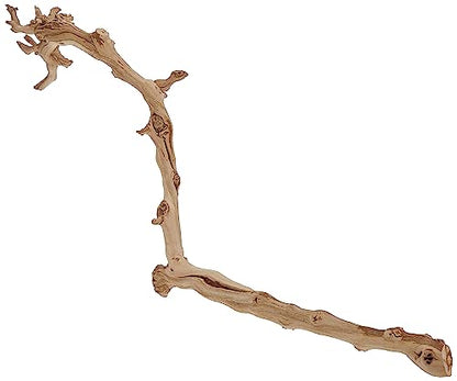 Exo Terra Forest Branch, Large - size: Large