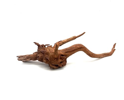 Large Generic Natural Coral Wood Branch Decoration, Brown Driftwood, 10 Inch, Waterproof, for Aquarium Terrarium Fish Tank, Reptile Climbing 12-24 inch 2Pc