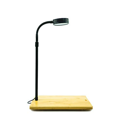 Height Adjustable Full Spectrum Nano LED Light, fits Nano Tanks, Wabi kusa, Potted Plants, Betta Tanks