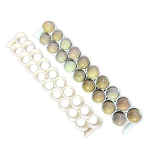 Undique Standard & Button Quail Egg Rails, Rigid Polymer, White for Cimuka/Hatching Time CT-Series Incubators (2)