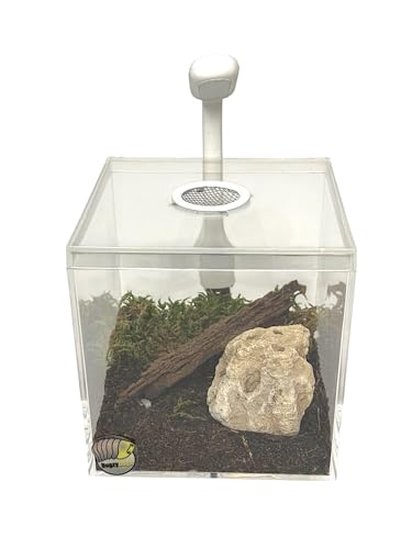 BugzyBugs 4″ Ventilated Acrylic Vivarium Terrarium Enclosure Clear Cubic Bug Habitat for Spiders, Isopods, Insects, Reptiles - color: White