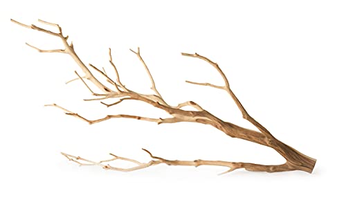 Galápagos (05517) Staghorn Branch™ - Natural Manzanita Branch for Terrariums, Aquariums, Reptiles, Birds and Decorative Displays, 13-18 in