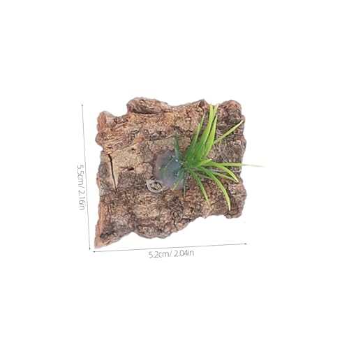 20pcs Natural Cork Bark for Reptile Terrarium Non-Toxic Tree Bark Background for Reptile Tank Climbing and Shelter Decor for Lizards Turtles Amphibians Aquarium Habitat Accessories