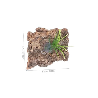 20pcs Natural Cork Bark for Reptile Terrarium Non-Toxic Tree Bark Background for Reptile Tank Climbing and Shelter Decor for Lizards Turtles Amphibians Aquarium Habitat Accessories