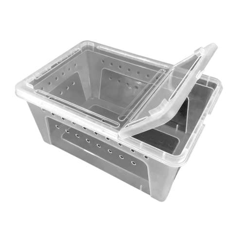 Jungle Bob - Clear Plastic Reptile Terrarium Box - Easy Pet Transportation - Enclosure for Small Herps - Side Ventilation - Clear View - Fade Resistant - Glossy Finish - Large - 12.5" x 8.5" x 6" - size: Large, style: 1 Pack