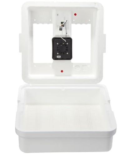 Little Giant® Digital Still Air Incubator | 41 Egg Capacity | Chick Egg Hatching Incubator with Temperature and Humidity Control | Made in USA - style: Still Air Incubator