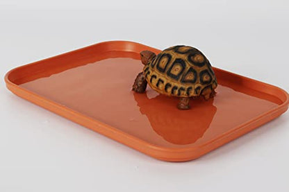 Reptile Large Water Dish, Tortoises Food Bowl - M (11.8 * 8.6 * 0.6) - size: M