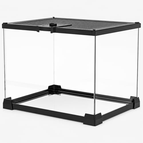 Mini Glass Terrarium Tank 8"x8"x6" with Top-Opening Mesh Lid, 360° Clear View, Ventilated Enclosure for Tarantulas, Jumping Spiders, Isopods, Froglets, & Small Reptiles - size: 8" x 8" x 6"