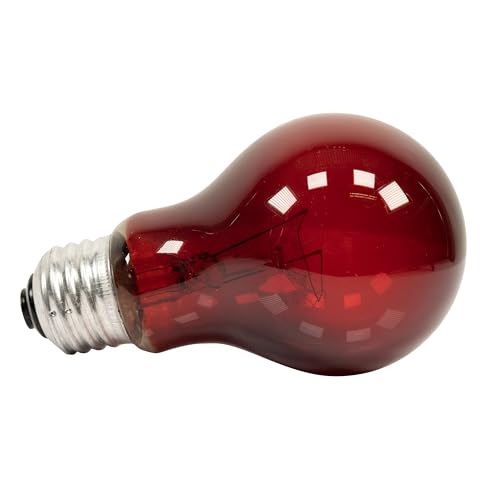 Zoo Med Nightlight Red Reptile Bulb 100 Watts - size: 100 W