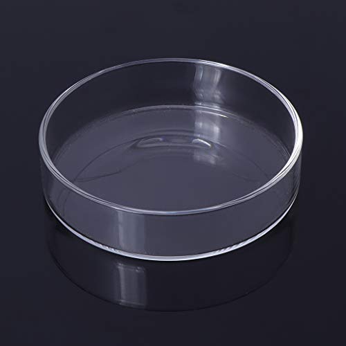 Shrimp Feeder Glass Feeding Dish Aquarium Fish for Tank Reptiles Round Clear Food Bowl 3.9" 3.5" 3.2" 3.0" 2.6" 2.4" Tra Aquarium Heater Light Thermometers Gravel Sand Decorations