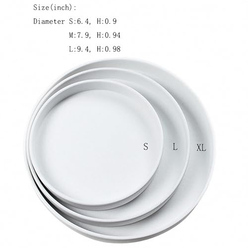Reptile Food Bowl OMEM Water Dish,Feeding Dish, Birds Bowl (S, White) - color: White, size: S