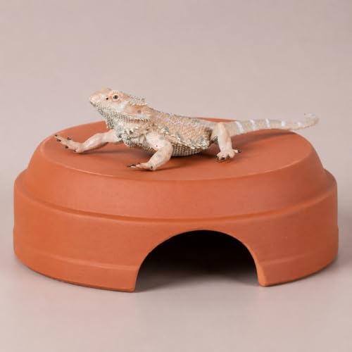 Terracotta Snake Hide, Reptile Hide Cave for Geckos Scorpions, Terrarium Decor Reddish Brown 100g, Average Reptile Hide (Diameter - size: average Reptile Hide (Diameter
