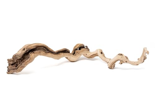 Natural Grapewood Branches – Vivarium Décor for Reptiles, Tarantulas & Spiders – Unique Terrarium Hardscape for Bioactive Tanks, Vivaria & Exotic Plant Mounts (Medium) - style: Medium
