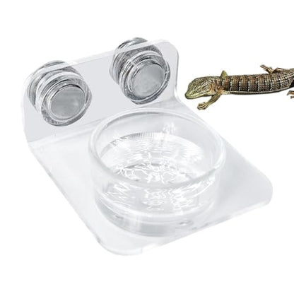 Gecko Feeder - Gecko Feeding Ledge Suction Cup, Reptile Food Feeder Bowl, Suction Cup Food Tray Lizard | Acrylic, Magnet, Bowls, Reptile Feeding Ledge for Lizards, Chameleons, Tree Frogs, - color: A