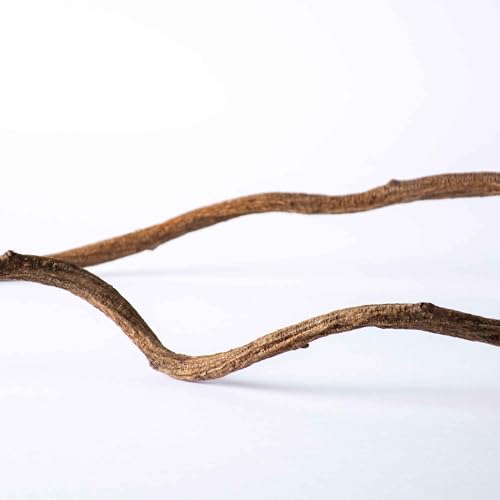 Galapagos (05312) Jungle Wood, Natural Brown, 3 Ft. - color: Brown, size: 3 ft