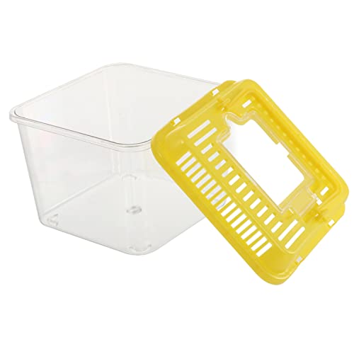 TEHAUX 1pc Portable Transparent Tortoise Tank Detachable Lid Reptile Habitat for Snakes and Pets Easy to Clean and Ventilated Breeding Box