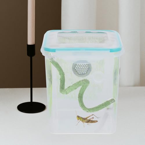 Cabilock Realistic Vine Reptile Climbing Branch with Suction Cups and End Caps, 0.5m Artificial Plant Decor for Hermit Crab, Gecko, Lizard, Snake Terrarium Habitat Accessories