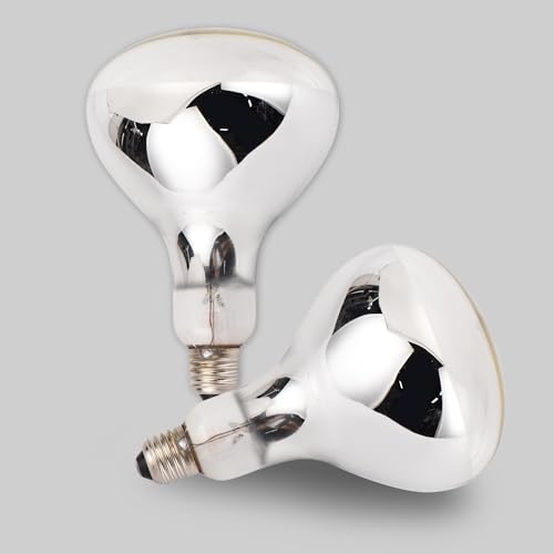 Incandescent R40 Reflector Infrared Lamp, Explosion Proof Clear Glass, E26 Base, Heat Lamp Bulb 250W for Reptiles, Turtles, Pets, Calves and Lambs, Chicks and Bathroom, 2 Pack (R40INC)