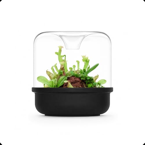 Bioloark MY-150K Glass Plant Terrarium with Ceramic Base, 6.4” x 6.7” Black, Moss Terrarium Container with Clear Glass Cover, Ventilation Holes, Moisture Cycle Lid for Ferns, Succulents & Small Plants - color: MY-150K (6.4 "X6.7")Black