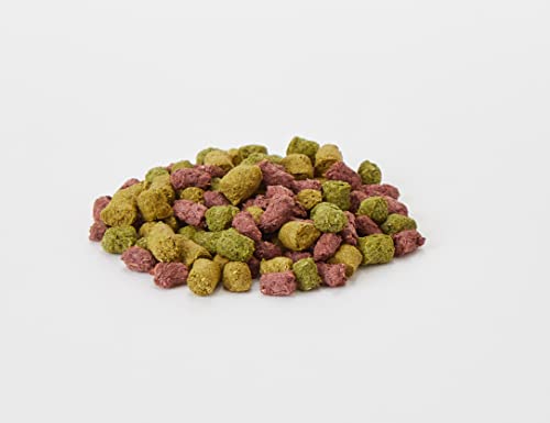 Viovet Reptile Food - Komodo Tortoise Fruit & Flower Diet 170G