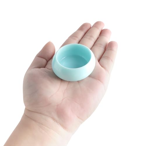 3 Pcs Worm Dish Reptile Food Bowl Tarantula Water Bowl for Spider Tarantula Gecko Lizard Small Reptile