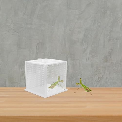 Reptile Feeding Box and Spider Terrarium Plastic Breeding Habitat Enclosure for Jumping Spiders and Frogs Ventilation Suitable for Pet Insects and Small Reptiles