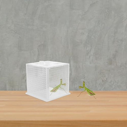 Reptile Feeding Box and Spider Terrarium Plastic Breeding Habitat Enclosure for Jumping Spiders and Frogs Ventilation Suitable for Pet Insects and Small Reptiles