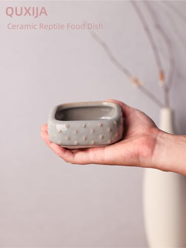 2 Pcs Ceramic Reptile Food Bowl, Mini Reptile Feeder, Anti Escape Feeder for Lizard, Anoles, Chameleon, Bearded Dragon, Gecko, Square (Farmhouse Grey) - color: Farmhouse Grey