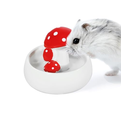 Niteangel Hamster Feeding & Water Bowls- Mushroom Ceramics Series Food Dish Feeding Bowls for Dwarf Syrian Hamsters Gerbils Mice Rats or Other Similar-Sized Small Pets (Water Bowl) - size: Water Bottle
