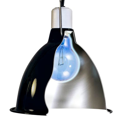 Zoo Med Daylight Blue Reptile Bulb 150 Watts - Pack of 3