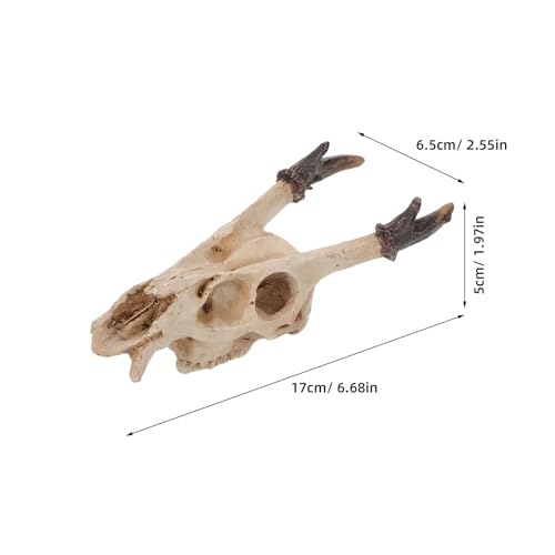 Reptile Skull Hideout Resin Terrarium Decoration Medium Size Snake Lizard Habitat Cave Suitable for Bearded Dragons and Geckos