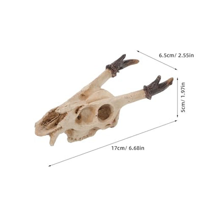 Toyvian Reptile Terrarium Skull Hideout Resin Medium Size Habitat Decoration for Bearded Dragons Lizards Amphibians Tank Accessories