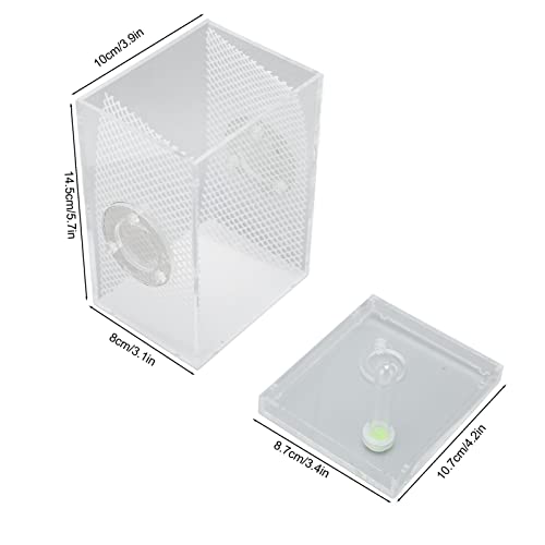 Reptile Enclosure Tank, Mini Acrylic High Transparency Moisturizing Reptile Breeding Box, Acrylic Reptile Cage Terrarium Tank for Tarantula Scorpion Sling Isopods(L)