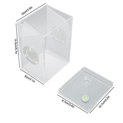 Reptile Enclosure Tank, Mini Acrylic High Transparency Moisturizing Reptile Breeding Box, Acrylic Reptile Cage Terrarium Tank for Tarantula Scorpion Sling Isopods(L)