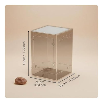 Qianly Acrylic Reptile Enclosure Vertical Arboreal Terrarium Well Ventilated Front Opening Habitat for Amphibian Enthusiasts