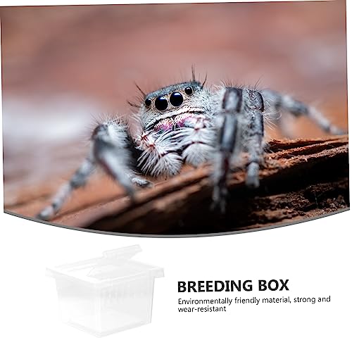 Reptile Breeding Box Transparent Plastic Habitat for Lizards and Spiders with Ventilation System for Optimal Airflow and Observation Space