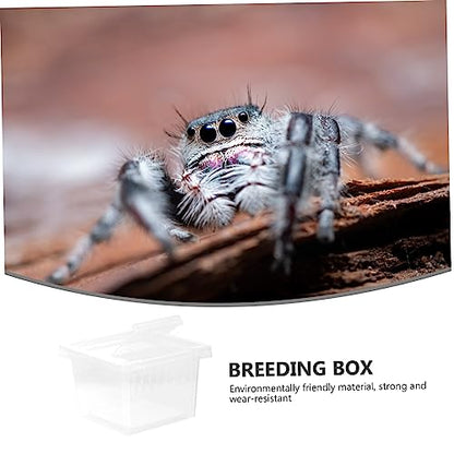 Reptile Breeding Box Transparent Plastic Habitat for Lizards and Spiders with Ventilation System for Optimal Airflow and Observation Space